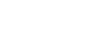ACE Consultancy